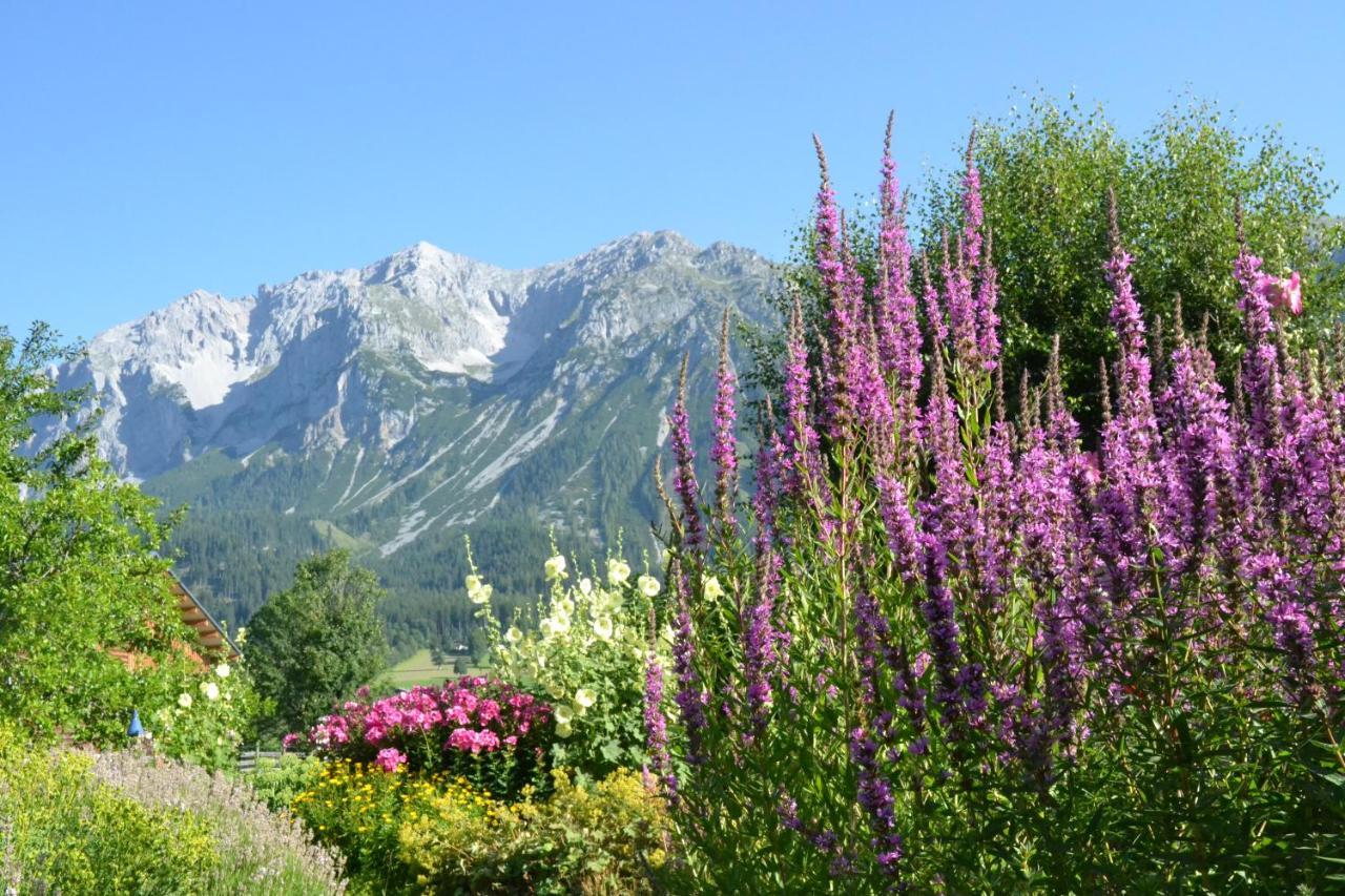Pension Moeslehnerhof Ramsau am Dachstein Extérieur photo
