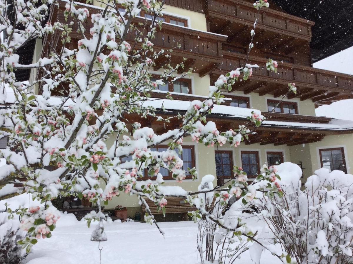 Pension Moeslehnerhof Ramsau am Dachstein Extérieur photo