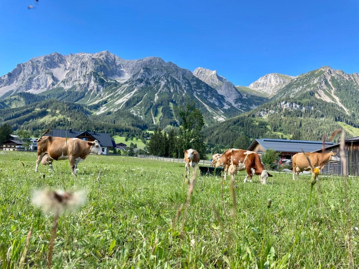 Pension Moeslehnerhof Ramsau am Dachstein Extérieur photo